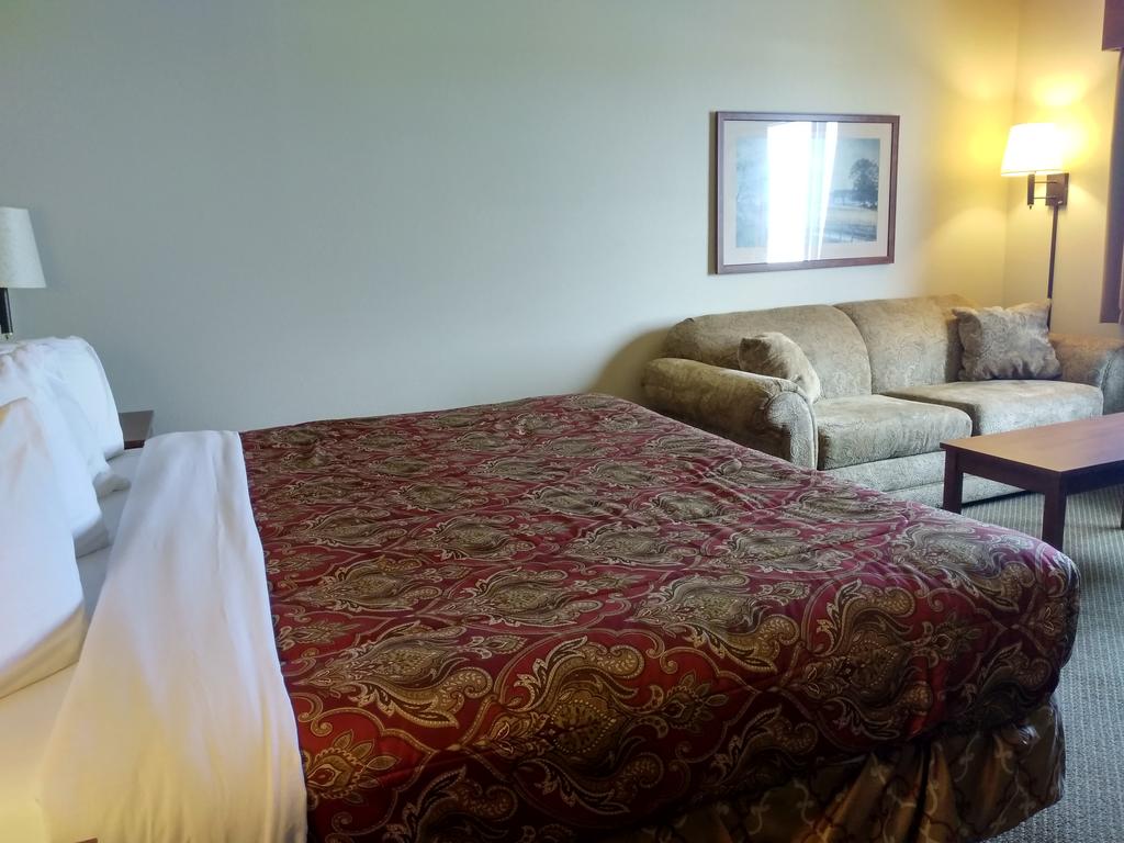 K-EXEC-SLEEPER SOFA - 1 at Madelia Hotel & Suites in Madelia
